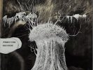 Radiohead 12