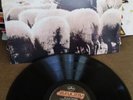BLACK SHEEP/A WOLF IN SHEEPS CLOTHING LP 1991 US ORIG.  Release Promo rare