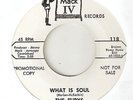 THE FURYS What Is Soul I Lost My Baby MACK IV PROMO  NORTHERN SOUL 45
