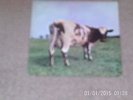 PINK FLOYD ATOM HEART MOTHER ROCK VINYL RECORD ALBUM LP