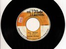 REGGAE GEORGE / SKY NATION - FIG ROOT / ROOTS VERSION - HIGH NOTE - 70s - SP0047