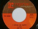 The Dovers - I Could Be Happy / People Ask Me Why 45 Reprise rare psych