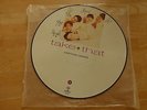 Take That ?– Everything Changes - Vinyl, LP, Album, Picture Disc 1993