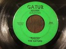 GATURS 45 Wasted/Gator Bait GATUR funk soul nola willie tee