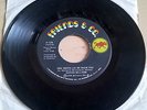 ESTHER WILLIAMS YOU GOTTA LET ME SHOW YOU LAST NIGHT CHANGED IT ALL FRIENDS & CO