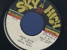 1784 ERROL HOLT-RED EYE- SKY HIGH- REGGAE 45 7