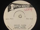 Ernest Wilson - Freedom Fighter 12