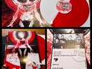 KILLING THE DREAM Places Apart LP/132/Poster HC sXe converge touche amore MLIW