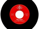DEE JAY & THE RUNAWAYS “JENNY JENNY” IOWA’S RAREST FRAT ROCK RECORD FROM 60’s