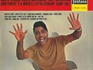 LITTLE RICHARD Little Richard Is Back Vinyl Record LP Fontana TL.5235 1964 1st