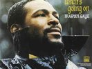 Marvin Gaye-What's Going On  Vinyl / 12