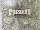 THE PAISLEYS Cosmic Mind At Play PRIVATE Psych LP ORIGINAL