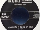 RARE NORTHERN SOUL LEE DAVID - TEMPTATION'S CALLING MY NAME - U.S. RUBY