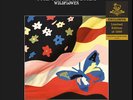 NEW SUPER RARE The Avalanches - Wildflower Vinyl LP x/1,000 Newbury Comics