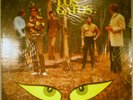 LO MEJOR DE - LOS GATOS - LATIN ROCK 196? SEALED LP