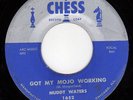 BLUES record By Muddy Waters-