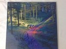 Drenge Undertow LP Vinyl Signed