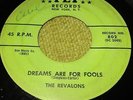 REVALONS Dreams Are for Fools. SUNNY & SUNLINERS Rags to Riches 45s HEAR