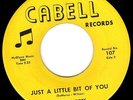 Hot GARAGE 45 - THE REJECTS - JUST A LITTLE BIT OF YOU - Virginia 1966 - HEAR