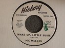 TEEN POPCORN 45 Joe Melson Wake Up Little Susie Hickory 1155 Promo M- HEAR MP3