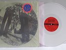 Ty Segall & White Fence - Hair LP on Drag City records Colored Rare