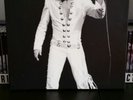 Elvis Presley Deluxe Thats The Way It Is 10 disc box set