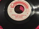 EDISON LIGHTHOUSE - Love Grows Where My Rosemary Goes WL PROMO Bell. RARE