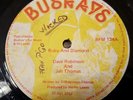 Dave Robinson Ruby And Diamond Killer Roots 12