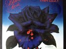 Thin Lizzy: Black Rose LP Warner Bros.# BSK 3338 Factory Sealed 1ST Press
