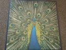 The Bluetones 