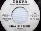DEBBIE DEANE 1966 Northern soul R&B PROMO 45 DREAM IN A DREAM TAKE MY HAND e7758