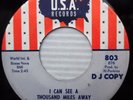 AL PERKINS I can see a thousand miles away 1965 soul POPCORN PROMO 45 e6843