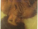 Candi Staton - I'm Just A Prisoner LP - Fame VG+