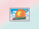 Allman Brothers Band - Eat A Peach (2LP) Vinyl LP (2) Mercury NEW
