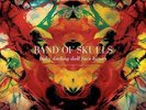 Baby Darling Doll Face Honey (Ogv) [12 inch Analog] Band of Skulls LP Record