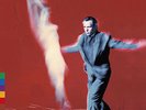 Peter Gabriel - Us [Vinyl New]