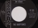 THE HARPTONES: What Will I Tell / Foolish Me COMPANION 45 Soul Doo Wop NM-