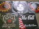 Cult 12
