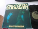 SPIROGYRA BELLS,BOOTS AND SHAMBLES 1973 IN MINT