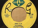 THE PIONEERS Shake It Up/Goodies Are The Greatest SUPER RARE REGGAE 45 Blue Cat
