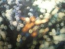 LP PINK FLOYD - obscured by clouds, 1C062-05 054