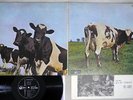 PINK FLOYD ATOM HEART MOTHER ODEON OP-80102 Japanese Pressing Vinyl LP