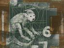 PIXIES   DOOLITTLE   VINYL LP   *NEW AND SEALED*