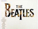 Vinyl LP Records EAS-91047 The Beatles 20 Greatest Hits w/OBI Japan (Odeon) HTR