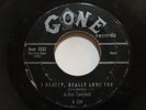 Jo-Ann Campbell - I Really, Really Love You/ I'm Nobody's Baby Now - SOUL 45