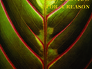 Lifetones - For A Reason [Vinyl New]