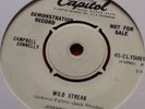 Johnny Fallin - Wild Streak (Rockabilly Demo)