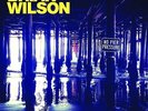 Brian Wilson - No Pier Pressure