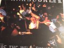 SHEER TERROR Breakdown NYHC Comp LP Test Pressing 100made Mint Gorilla Biscuits