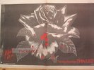 THIN LIZZY Black Rose 1979 Giant  UK Poster size Press ADVERT 16x24 inches